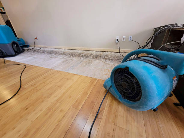 Professional Basement Flood Cleanup technician working in West Portsmouth, OH